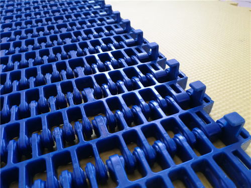 登封耐強(qiáng)酸塑料網(wǎng)帶價(jià)格規(guī)格齊全 錦源工業(yè)